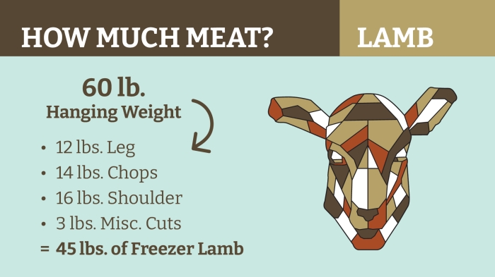 pricing-lamb dressout